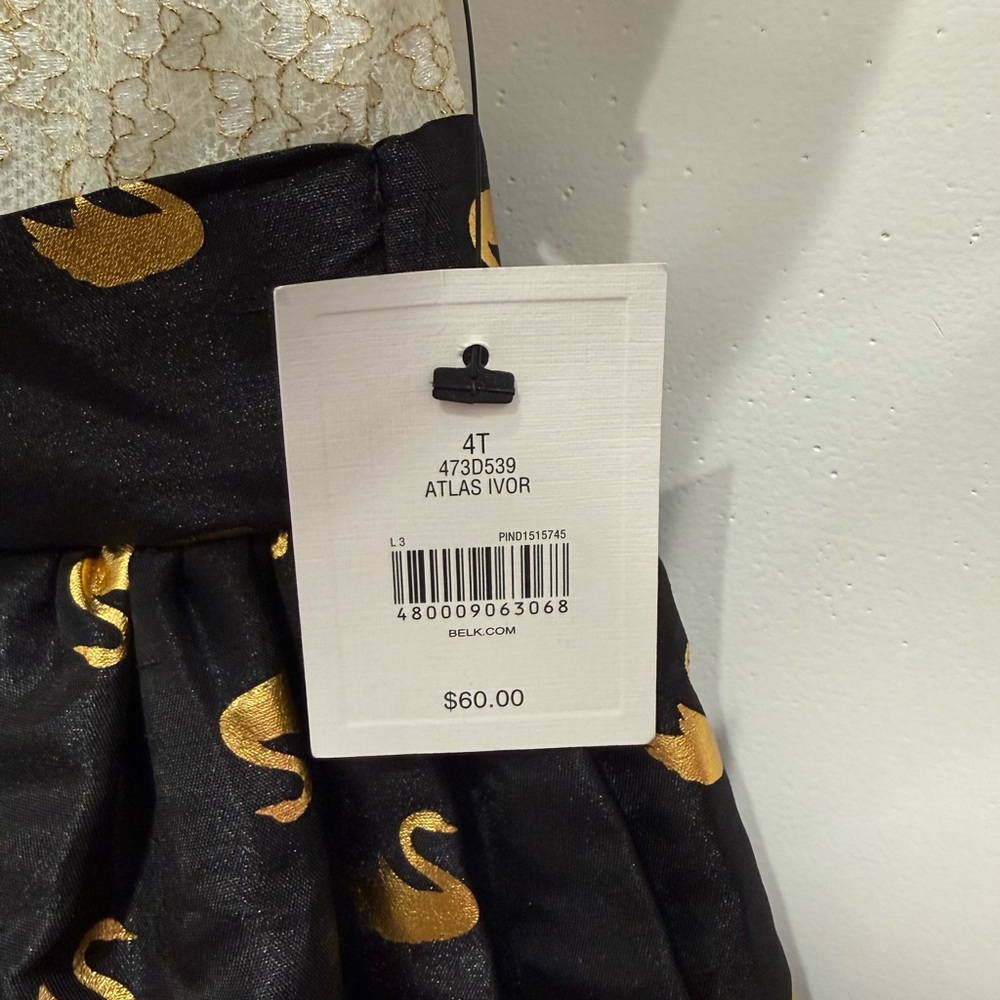 Girls' Two-Tone Lace & Satin Dress with Gold Swan Print - Picture 4 of 4